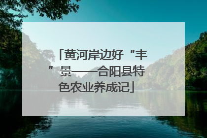 黄河岸边好“丰”景——合阳县特色农业养成记